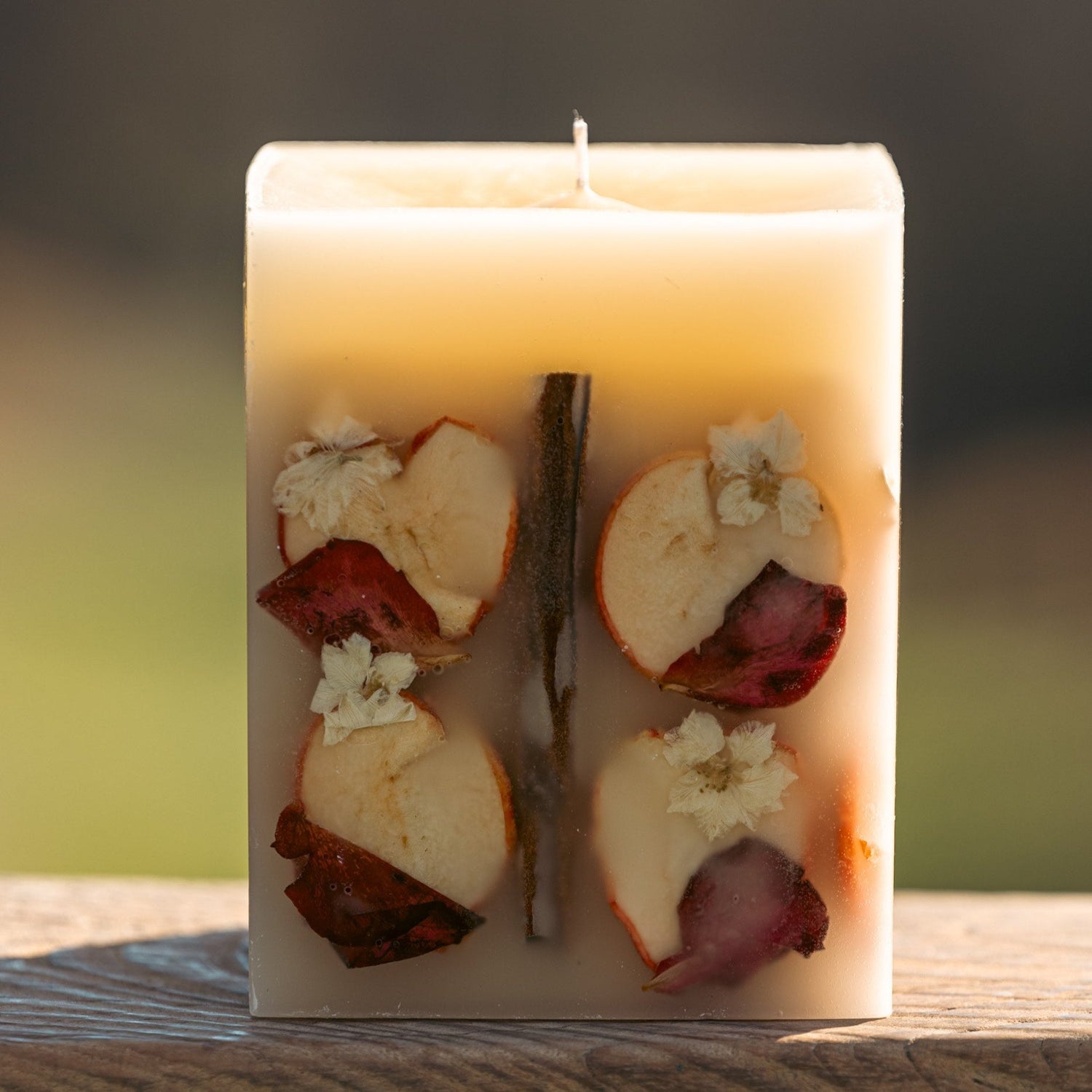 Large Spiced Apple Cider Botanical Candle Refillery Haus