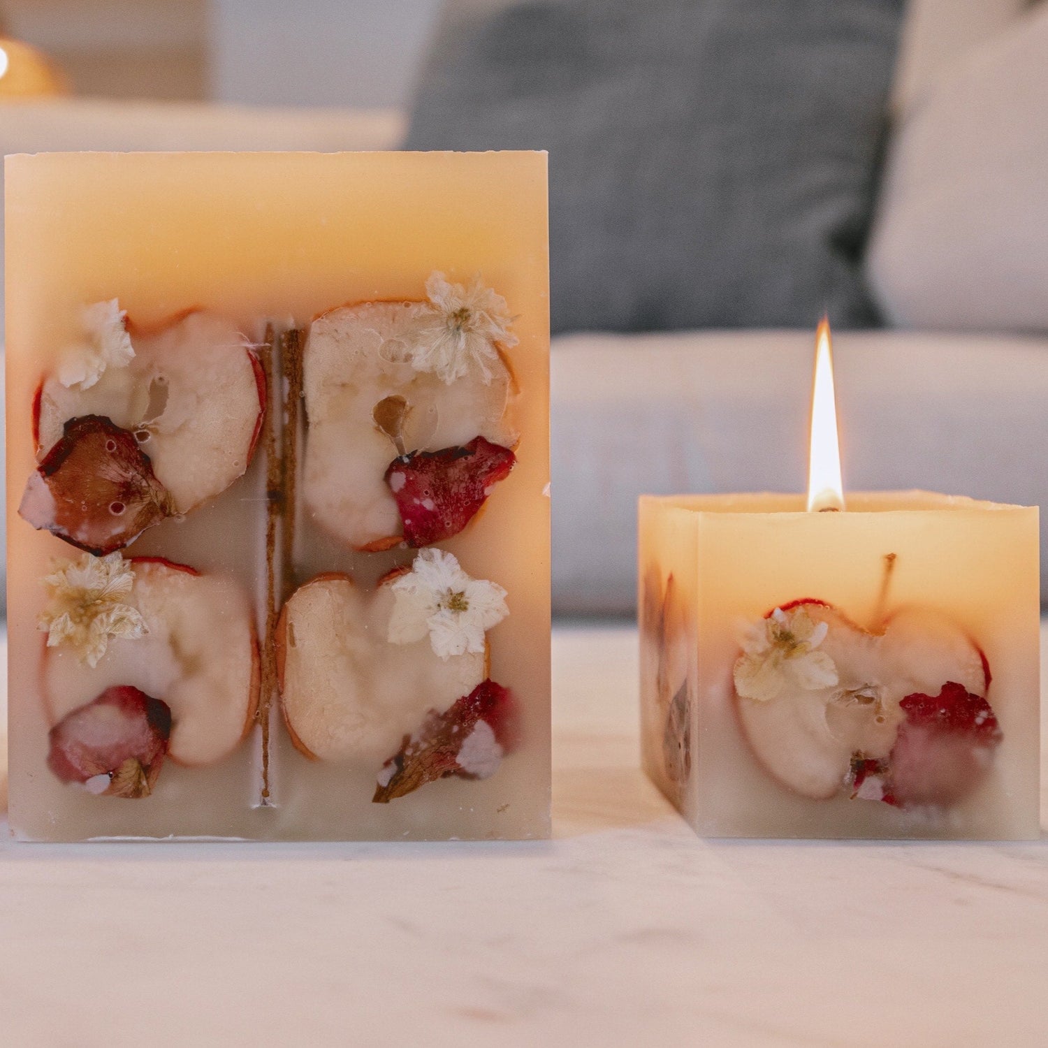 Large Spiced Apple Cider Botanical Candle Refillery Haus