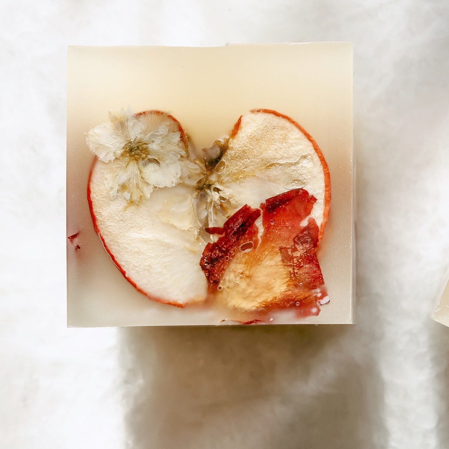 Mini Spiced Apple Cider Botanical Candle Refillery Haus