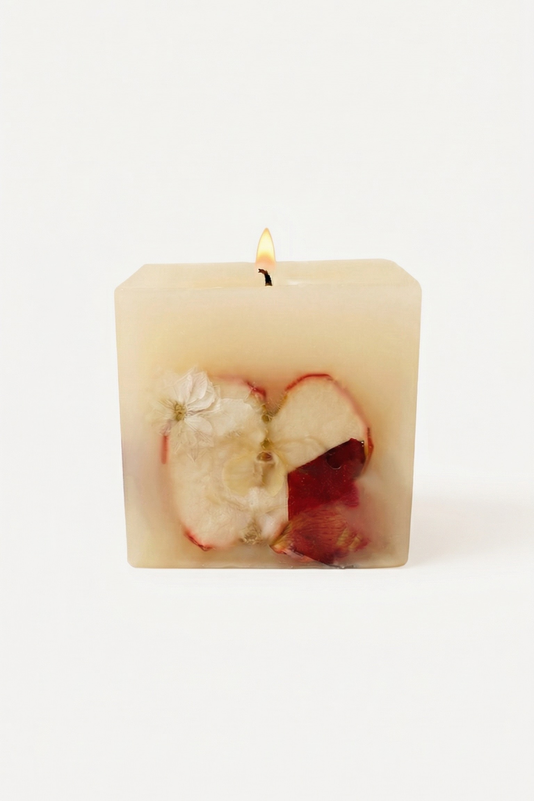 Mini Spiced Apple Cider Botanical Candle Refillery Haus