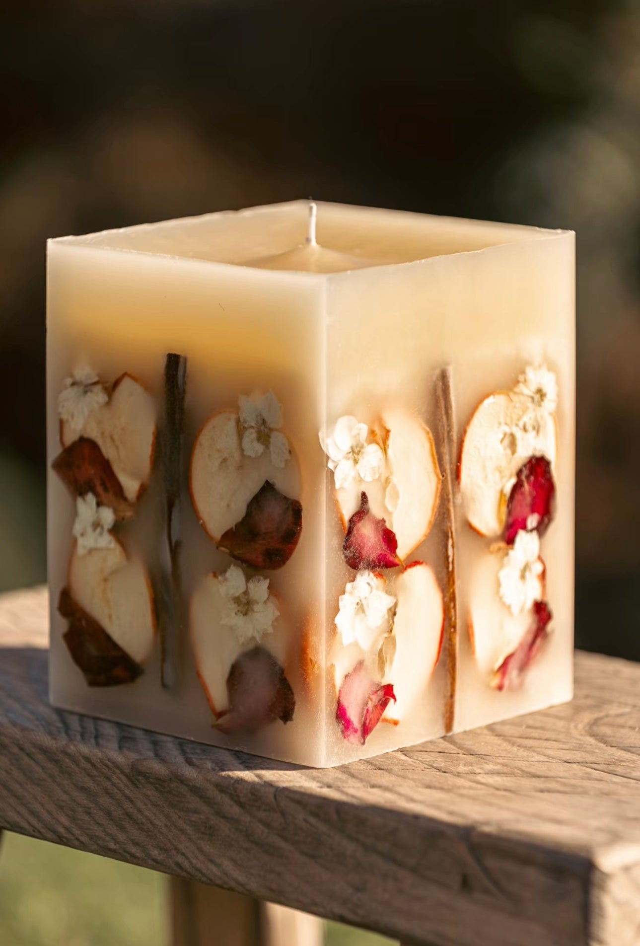 Large Spiced Apple Cider Botanical Candle