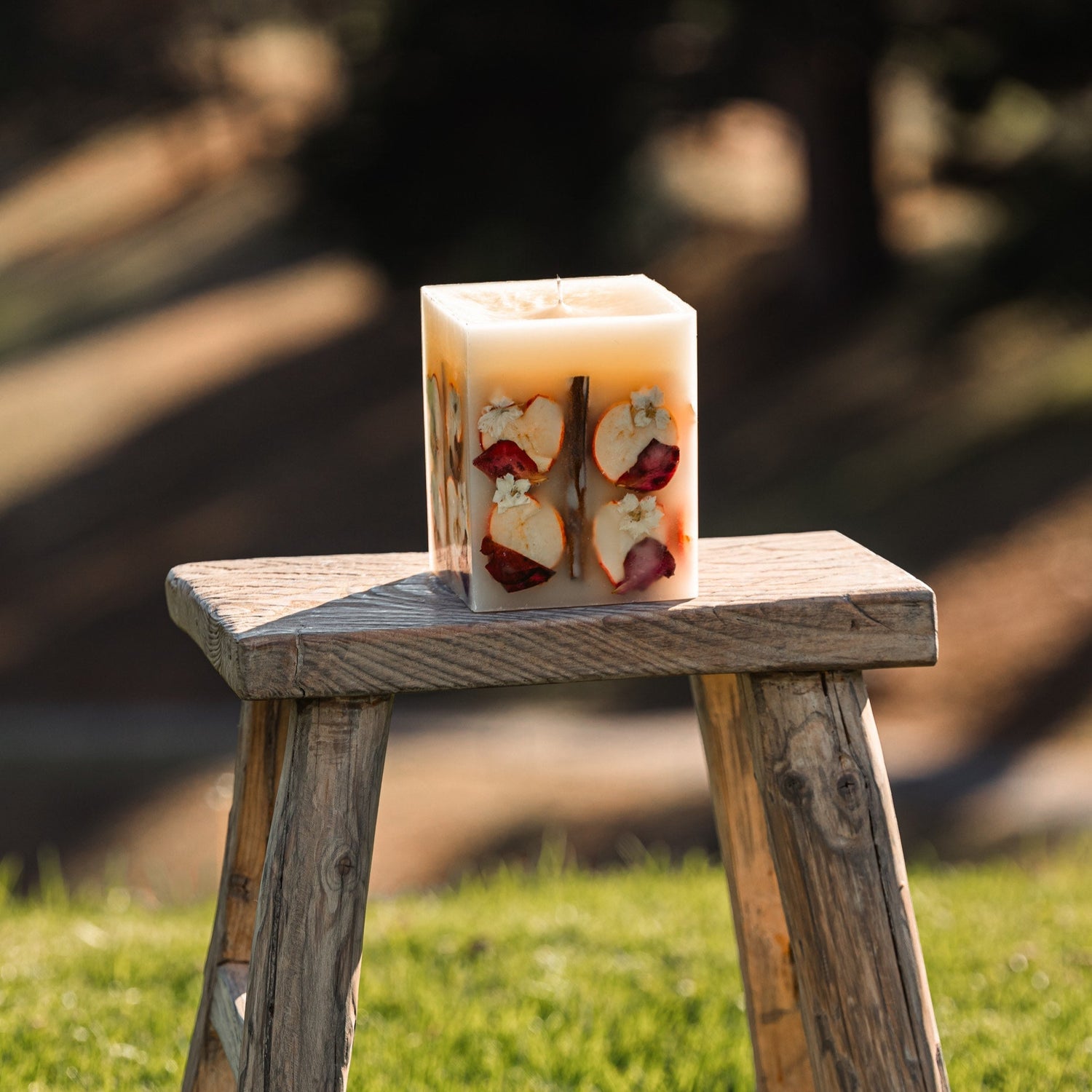 Mini Spiced Apple Cider Botanical Candle Refillery Haus