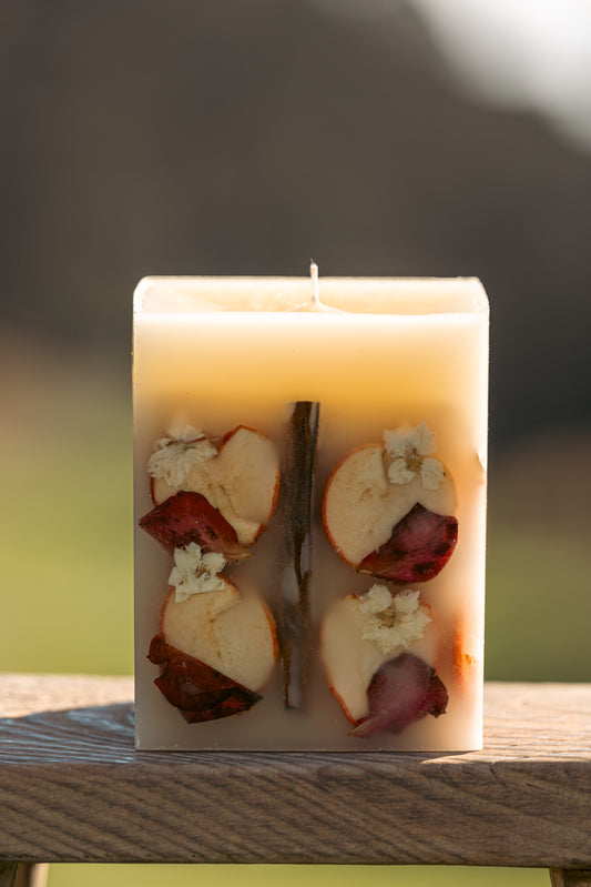 Large Spiced Apple Cider Botanical Candle