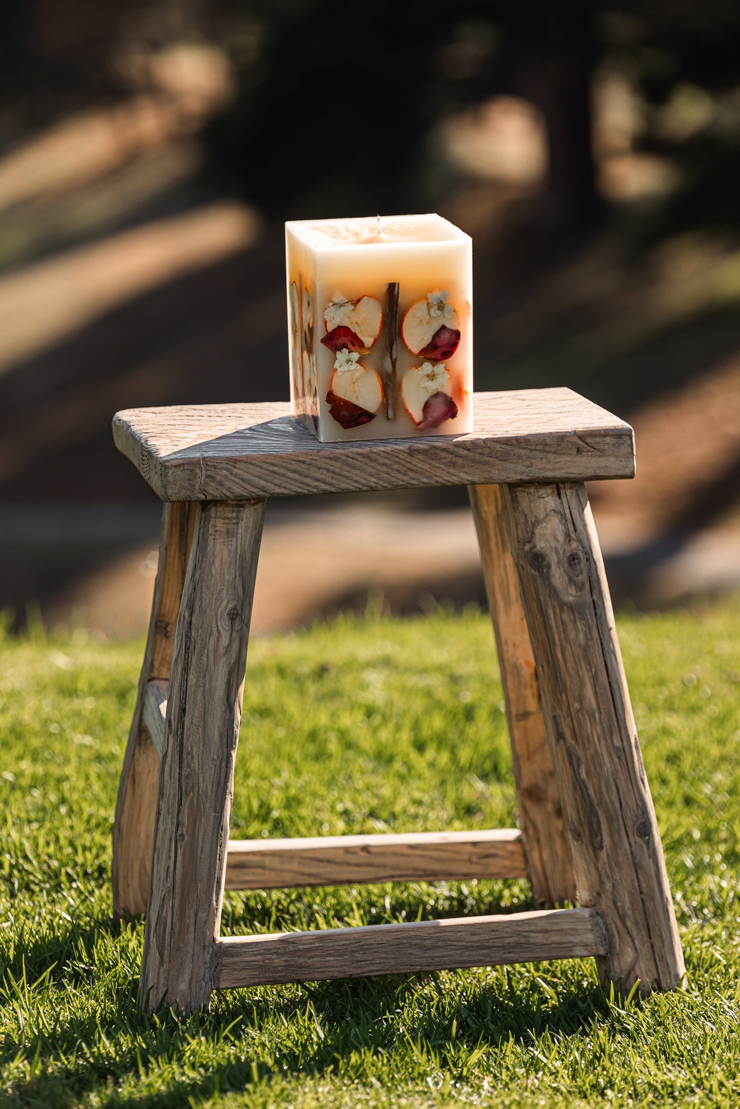 Large Spiced Apple Cider Botanical Candle