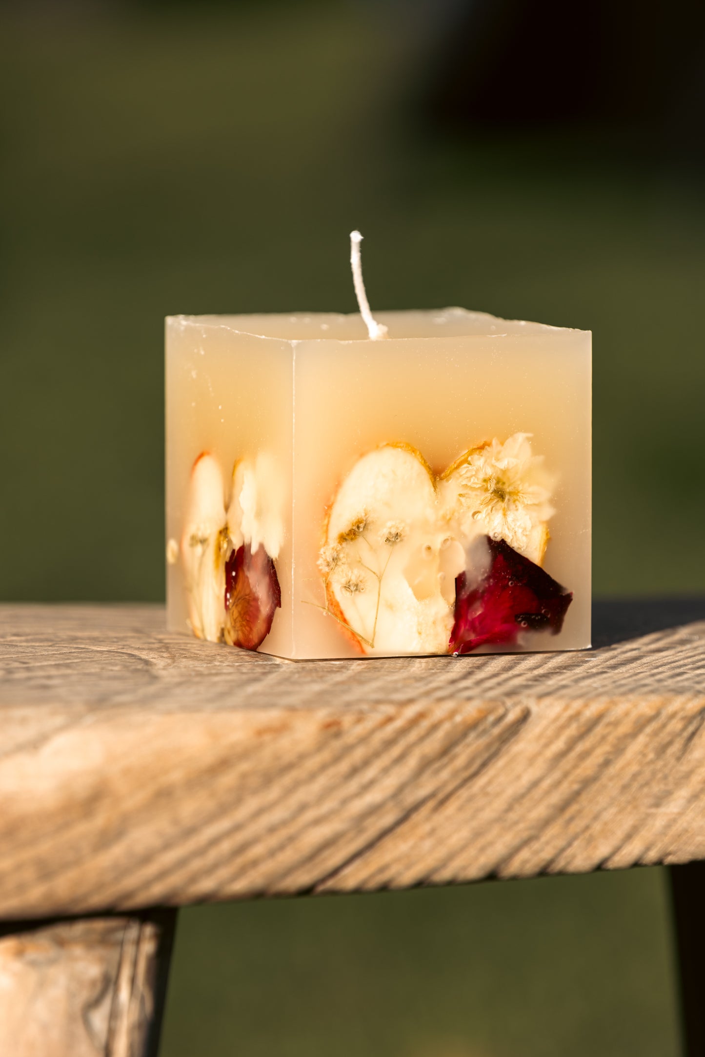 Mini Spiced Apple Cider Botanical Candle