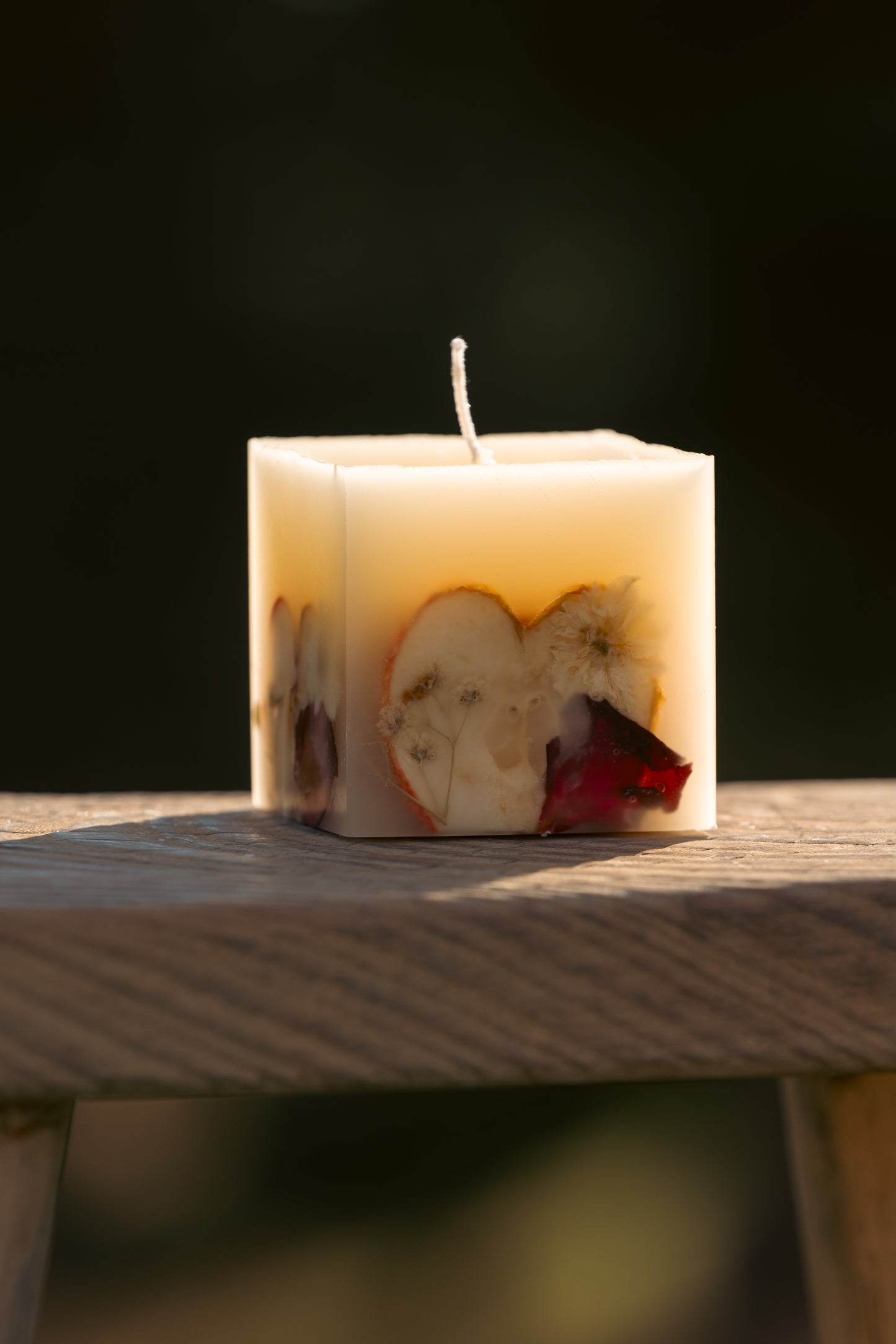 Mini Spiced Apple Cider Botanical Candle