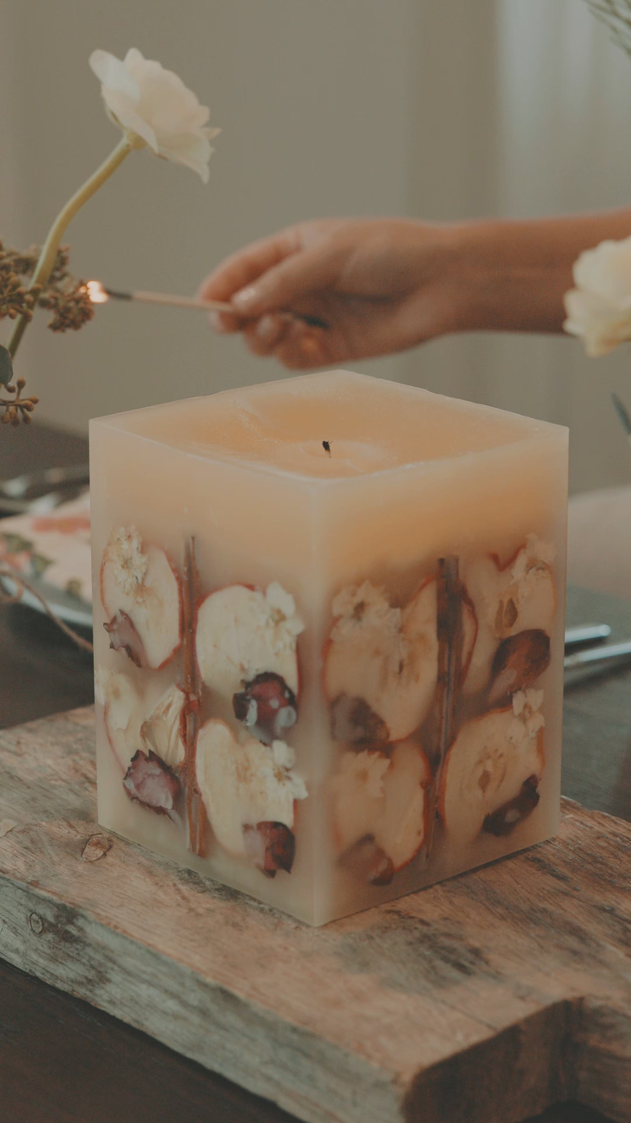 Large Spiced Apple Cider Botanical Candle